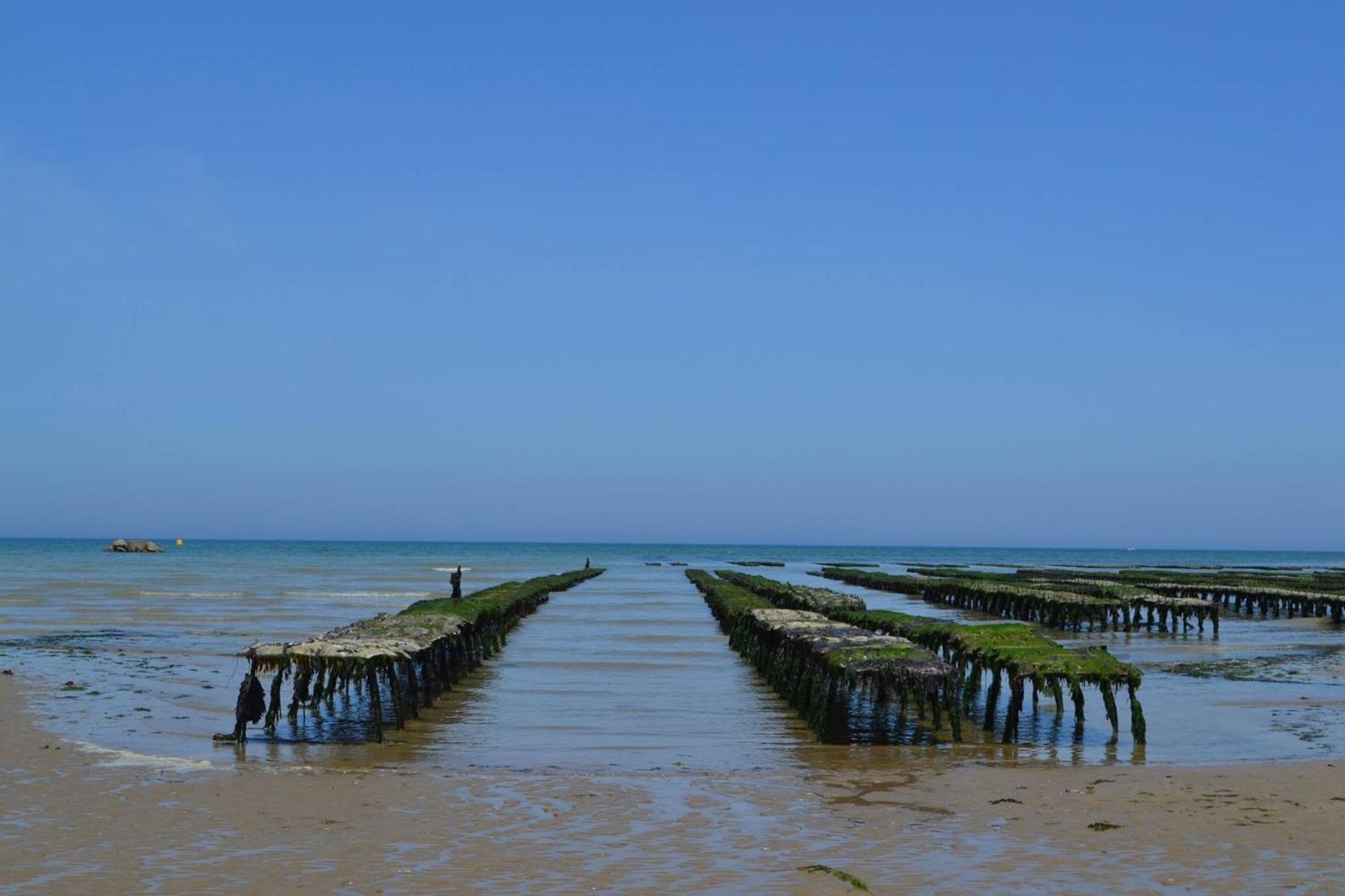 Le So Art, Grande Maison 4 Chambres, Terrain De Petanque, Grand Jardin Clos, Flipper, Babyfoot, Jeux Arcade, Ping Pong,1 Km Mer, Proche Golf, Port En Bessin, Bayeux Et Plages Du Debarquement, Adaptee Enfants Commes 外观 照片